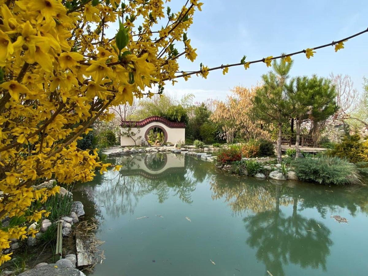 Uzumfermer Hotel & Winery Taşkent Dış mekan fotoğraf